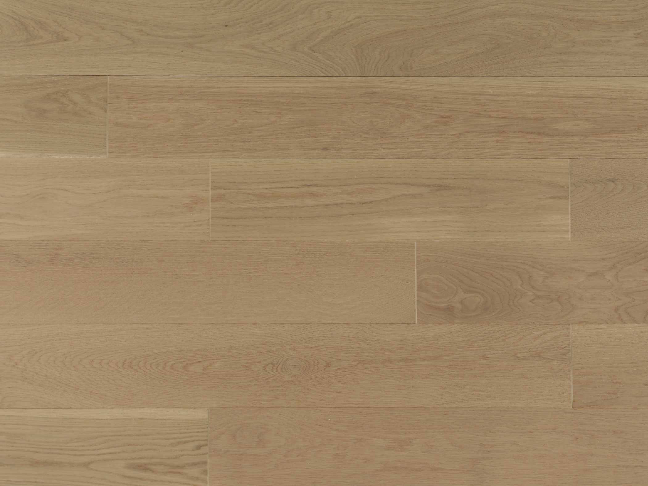 American Oak 5 Collection Click - Day Break