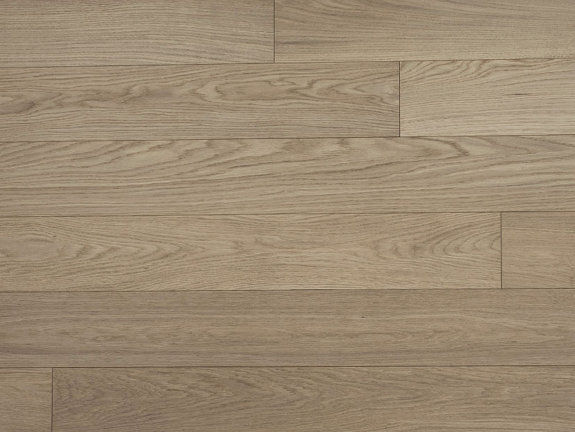 American Oak 5 Collection Click - Macaroon
