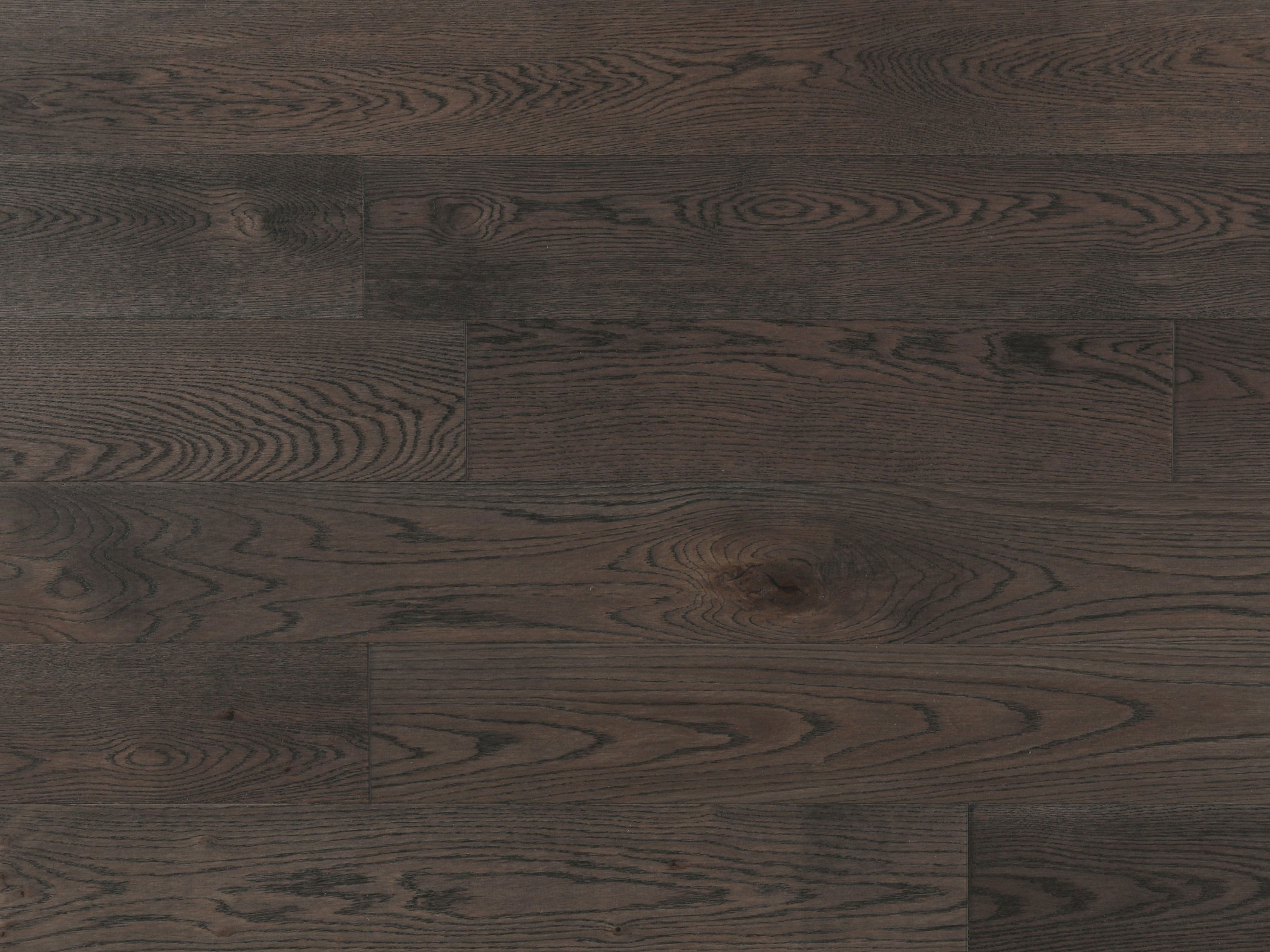 American Oak 6 Collection-Coffee